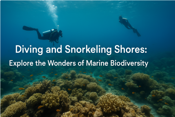 Diving and Snorkeling Shores: Explore the Wonders of Marine Biodiversity